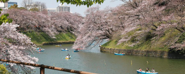 voyage au Japon