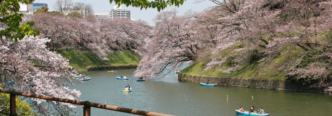 voyage au Japon